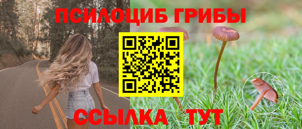 Галлюциногенные грибы Magic Shrooms Владимир