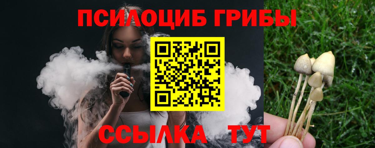 Галлюциногенные грибы прущие грибы  сколько стоит  Вход с VPN  Владимир  Галлюциногенные грибы Cubensis 